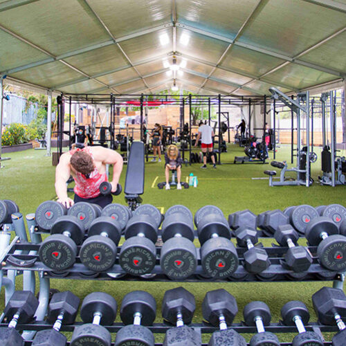 SJ_dumbells_662x501_v1