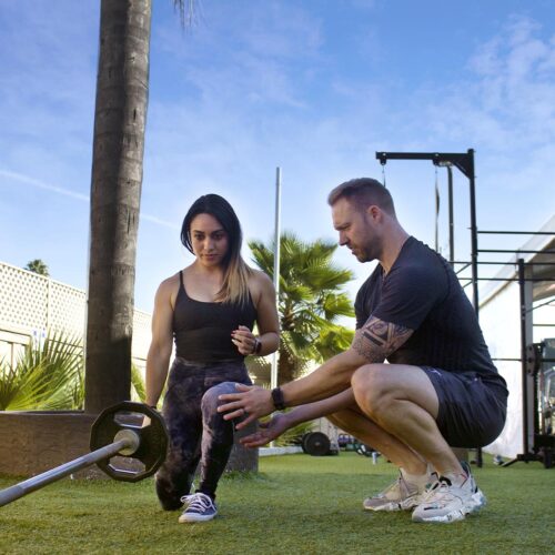 SJ_turf_mel_torey copy